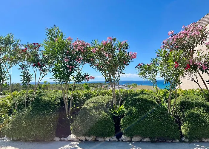 Sea Around * Povljana